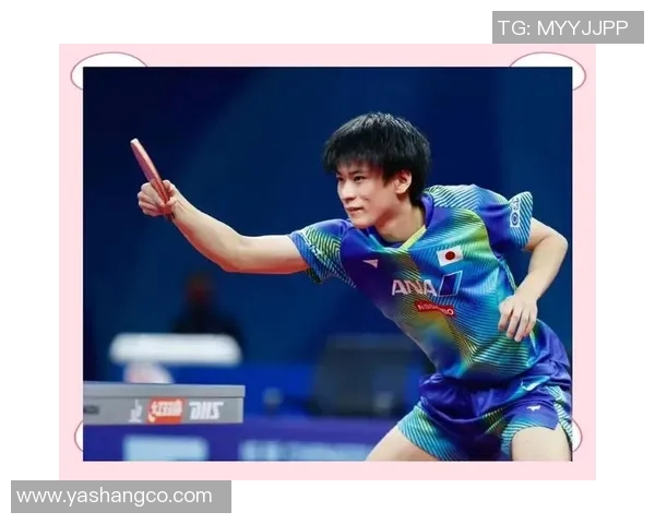 西安乒乓球队员个人能力深度对比与分析探讨