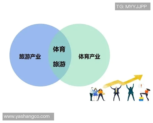 上海极限运动队的全面革新与整体压制策略探讨