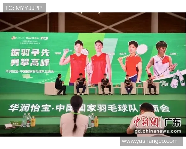 深圳羽毛球队快攻战术解析与技术创新探讨