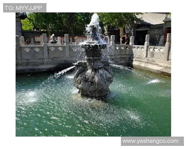 西安排球队耐力训练引发热议球迷专家各执己见争论不休