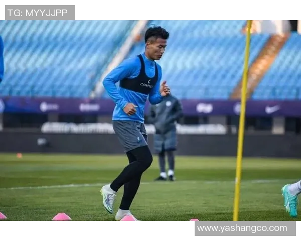 南京羽毛球队在精英赛中以61分稳居积分榜首位展现强劲实力